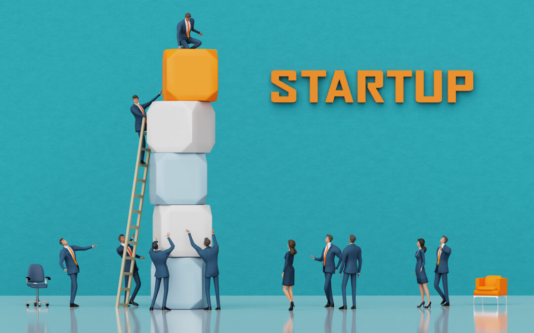How to Navigate Business Formation Matters